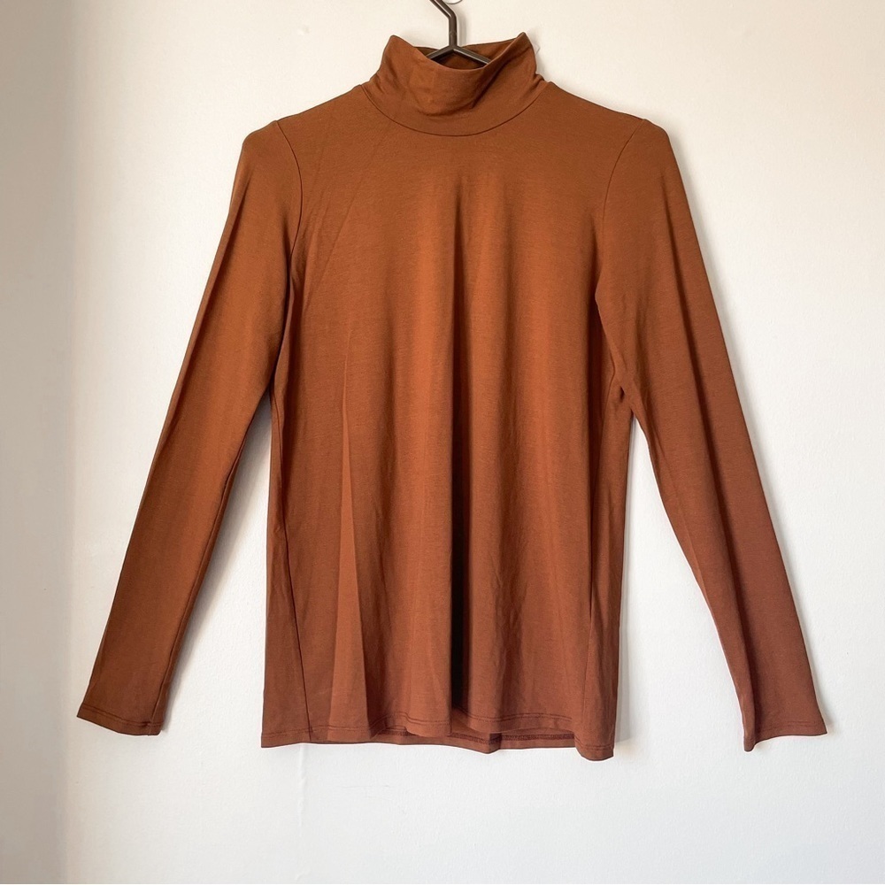 EILEEN FISHER Long Sleeve Turtleneck Top Neutral Brown Blouse Size XS